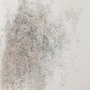 Sans titre, 50x65cm (détail) 